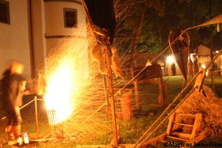 Die Drachensporn heizen ein