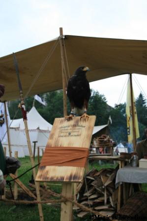 Frau Vogel auf unserem Schild