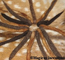 Web Haargummi 30.6. 07