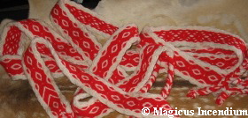 Web Wadenwickel-Link  30.6. 07