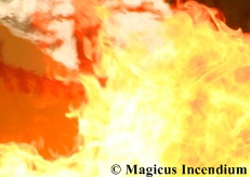 a_Web_flamme_30__6